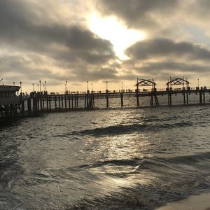 Meet your Posher, Shirley